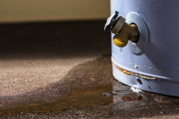Best Water damage restoration near me  in Americus, GA