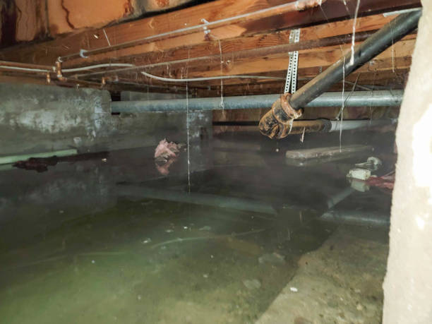 Best 24-hour water damage restoration  in Americus, GA