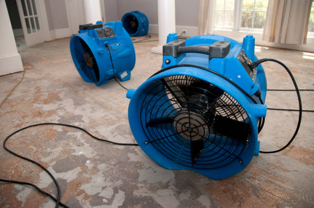 Best Carpet water damage restoration  in Americus, GA