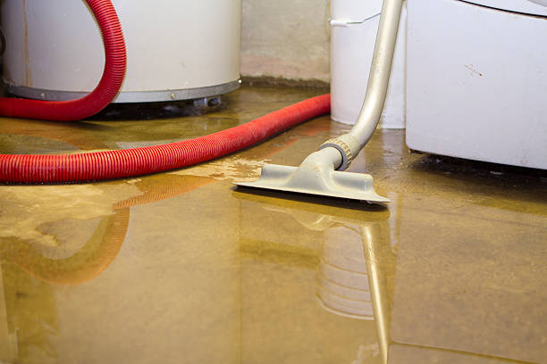 Best Professional water damage repair  in Americus, GA