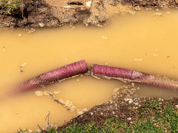 Sewage cleanup and water damage restoration in GA